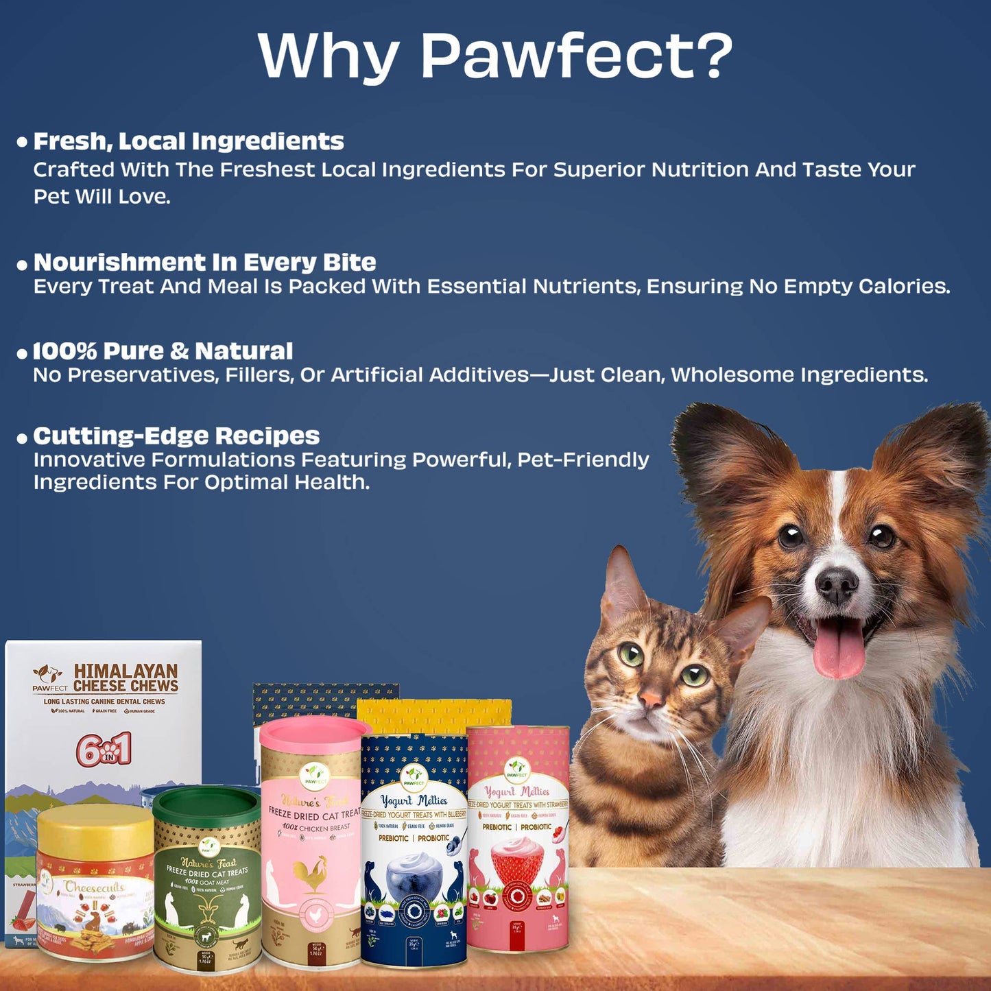 Pawfect Yogurt Melties Prebiotic and Probiotic Dog Treats: Blueberry & Yogurt (38g/1.34oz)