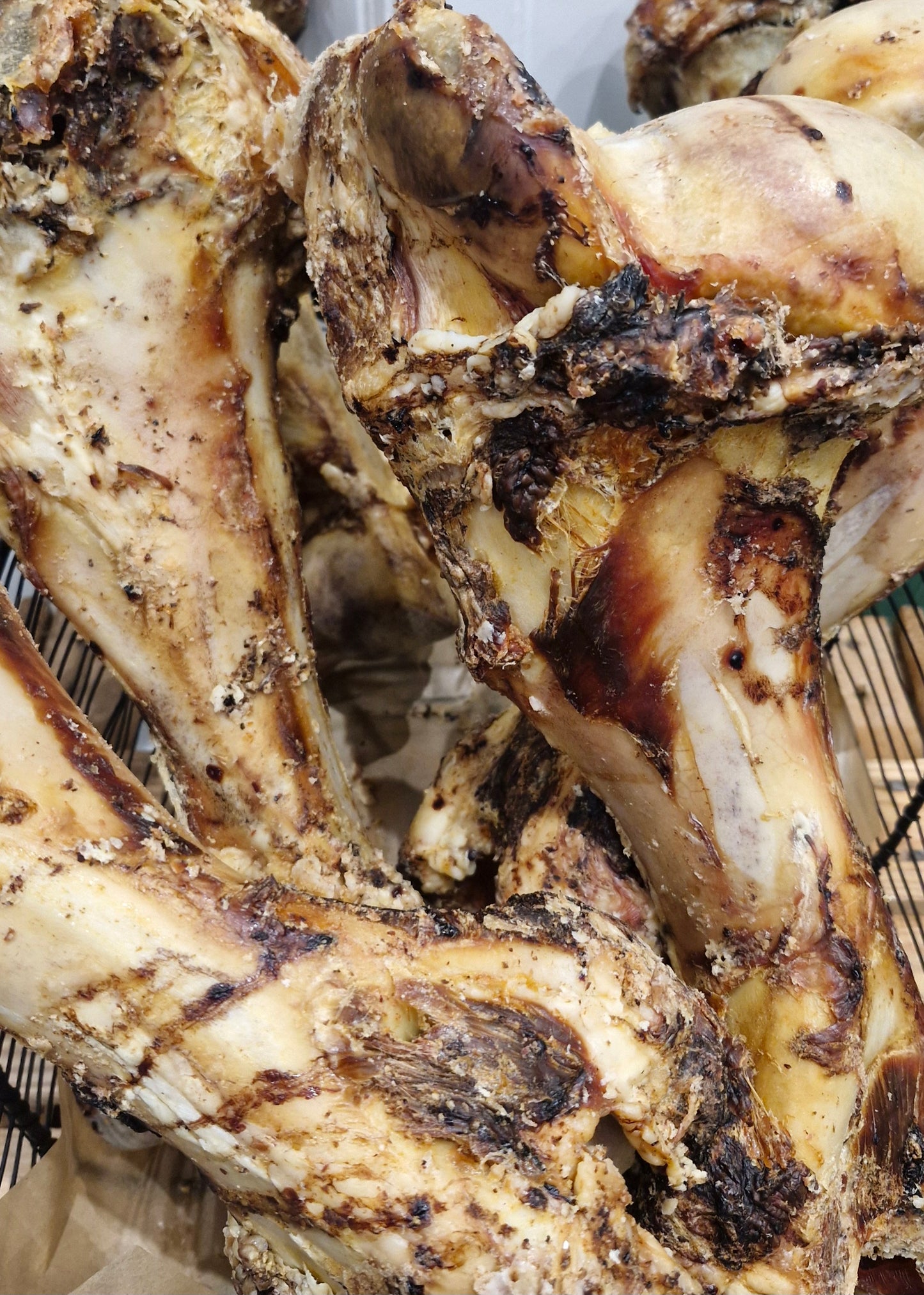 Dinosaur Bone – Natural, Long-Lasting Cow Leg Bone for Strong Chewers