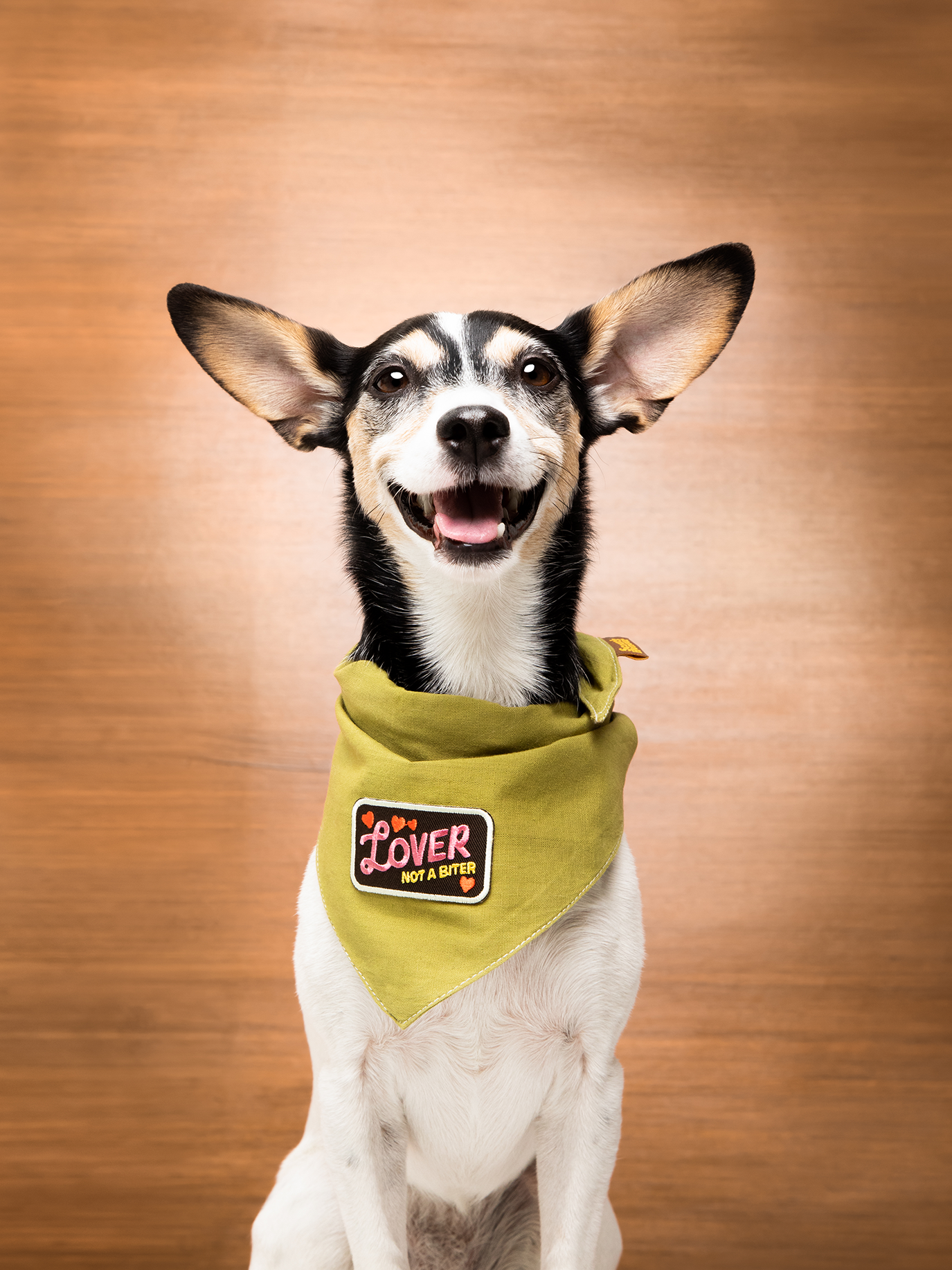 Lover not a Biter iron-on patch for dogs