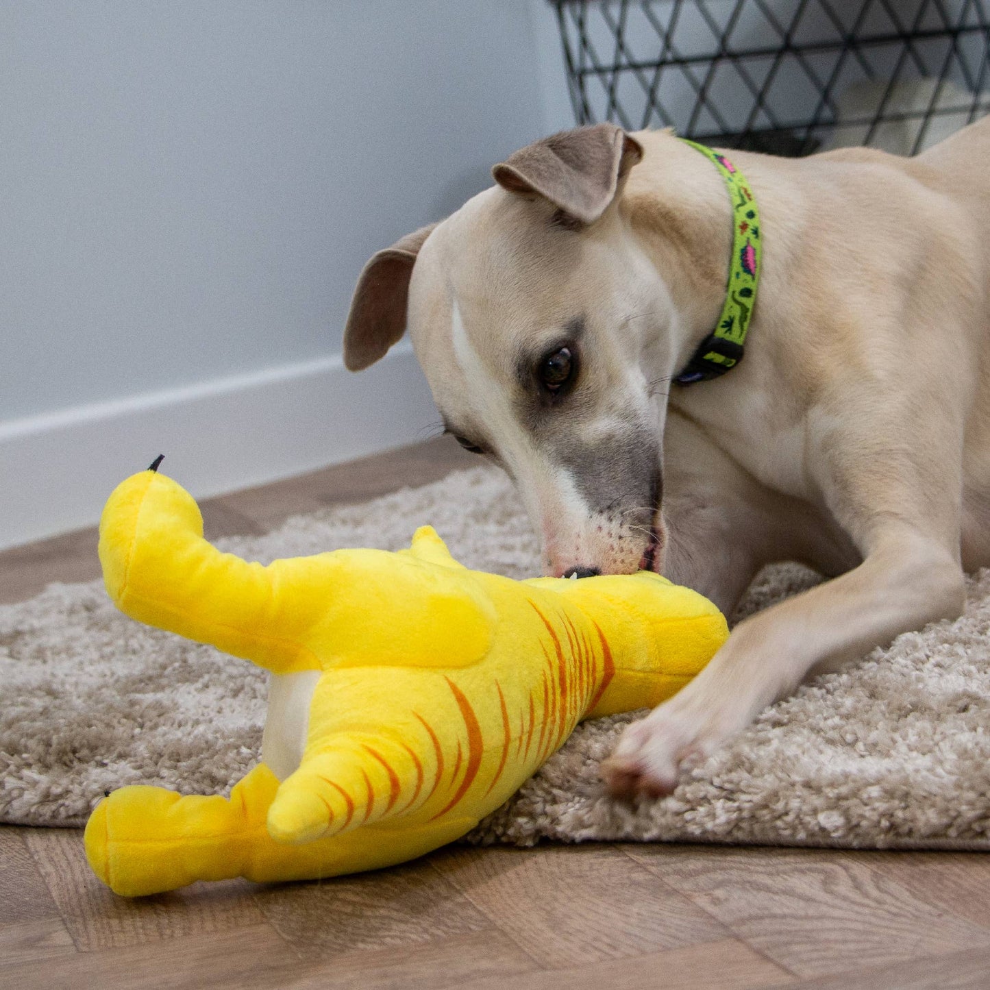 Cuddle Roarsome Dino's Dog Toy