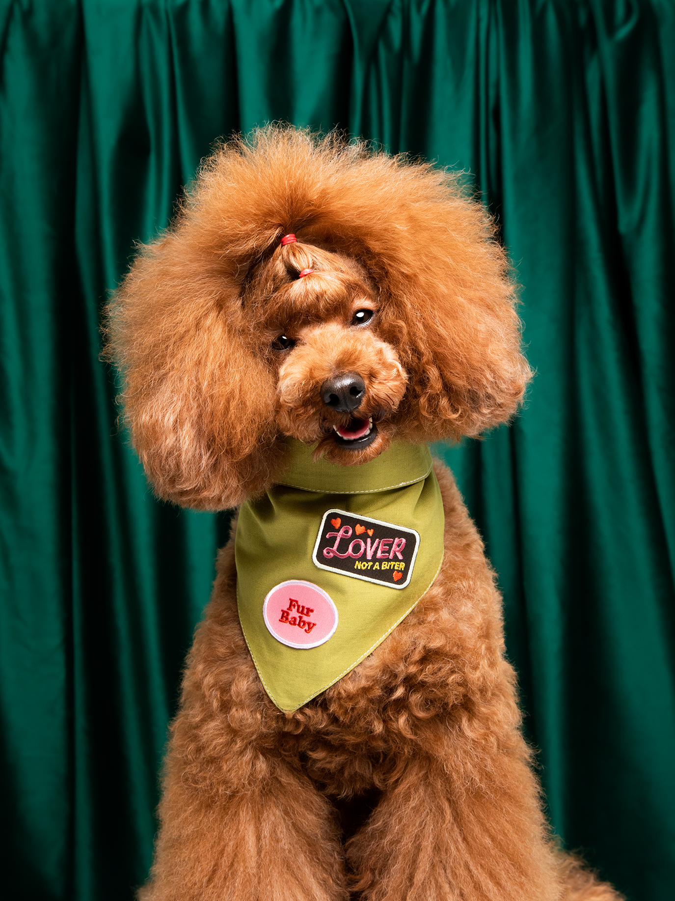 Lover not a Biter iron-on patch for dogs