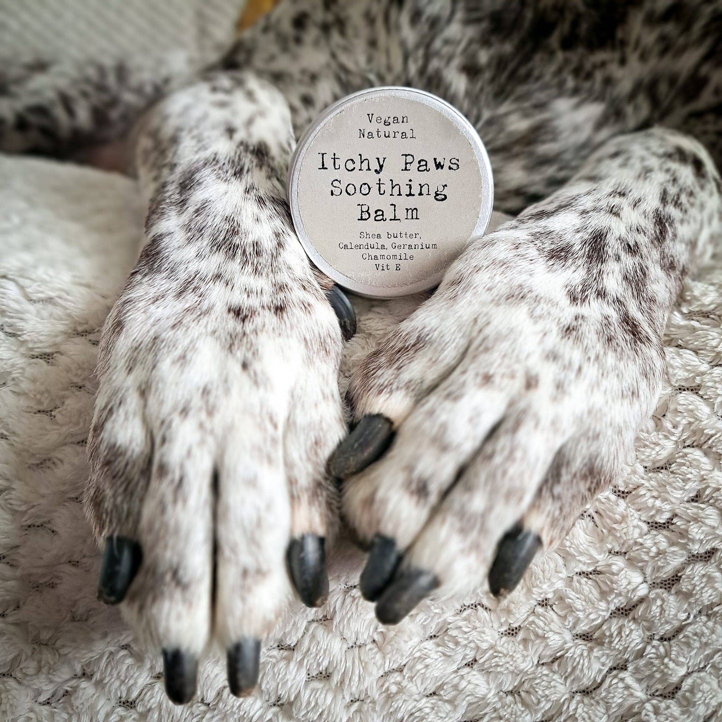 Itchy Paws Dog Balm – Natural, Vegan, Lick-Safe,  Soothing