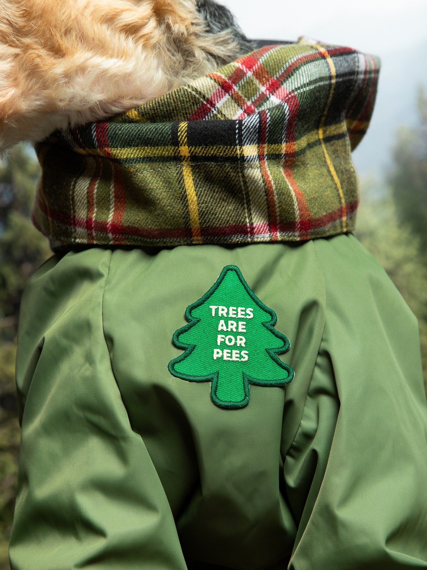 Trees are for Pees iron-on patch for dogs