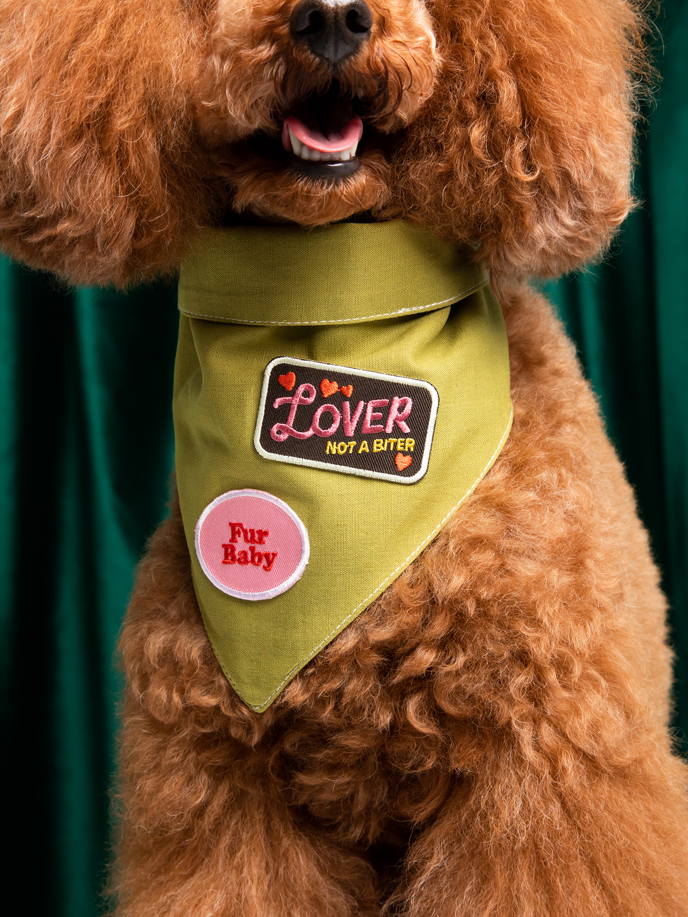 Lover not a Biter iron-on patch for dogs