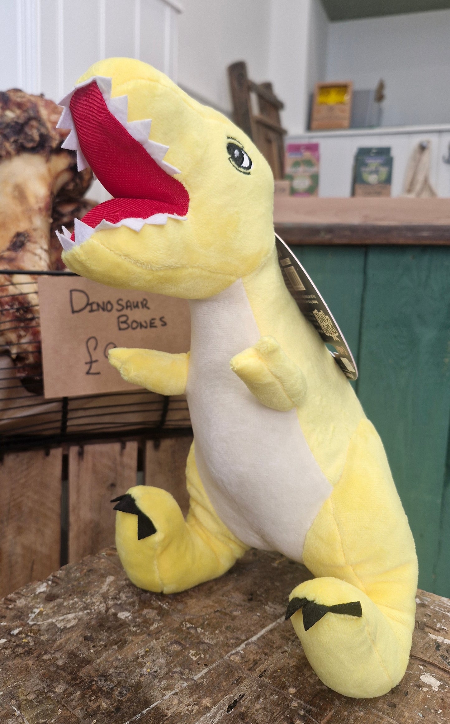 Cuddle Roarsome Dino's Dog Toy