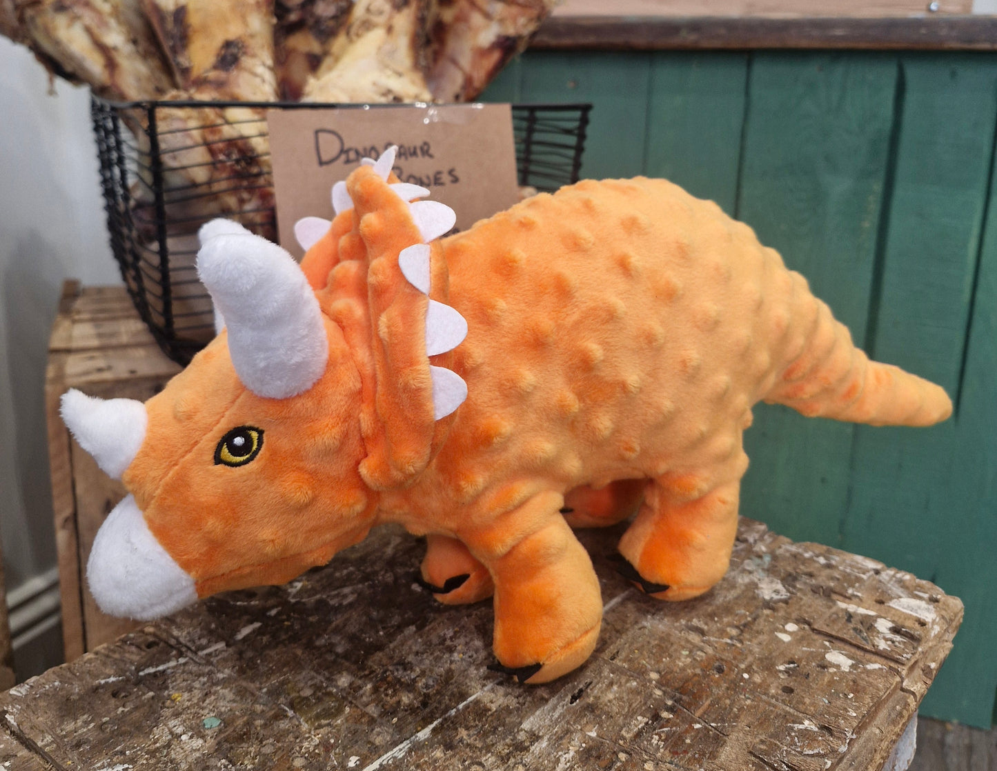 Cuddle Roarsome Dino's Dog Toy