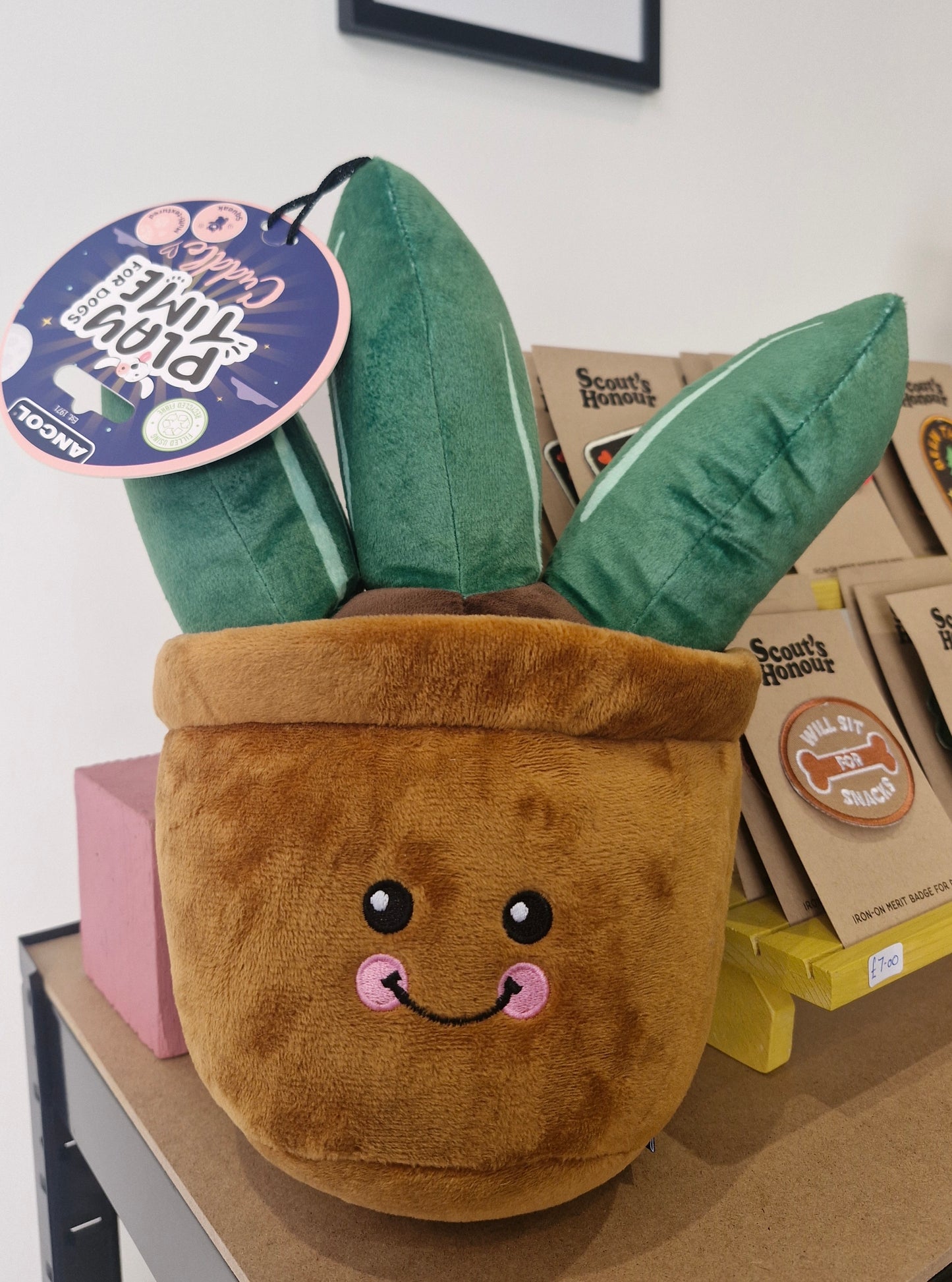 Cuddle Cactus Dog Toy