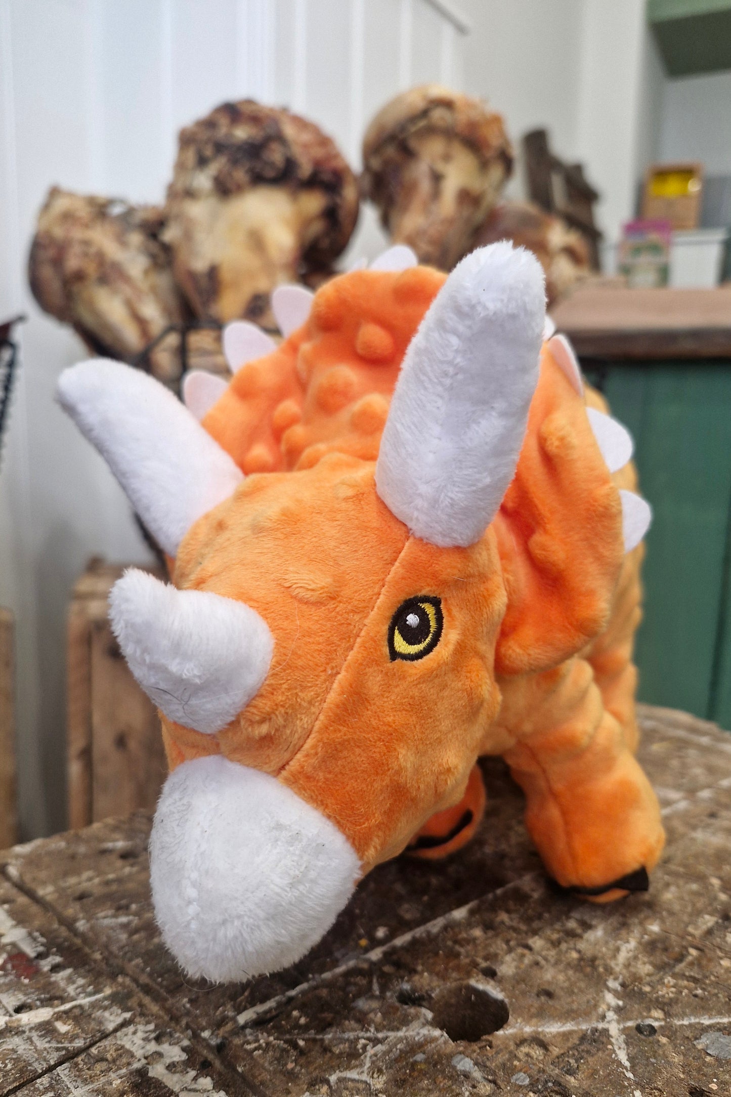 Cuddle Roarsome Dino's Dog Toy