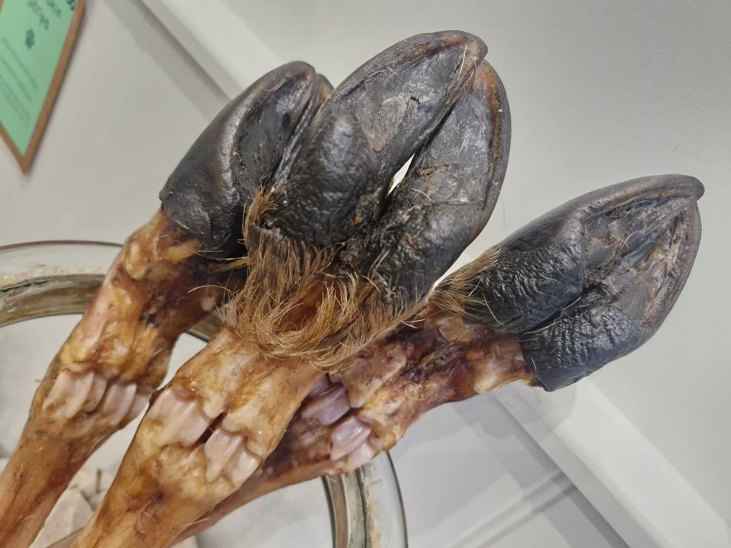 Deer Leg with Hoof Long Lasting Dog Chew Large