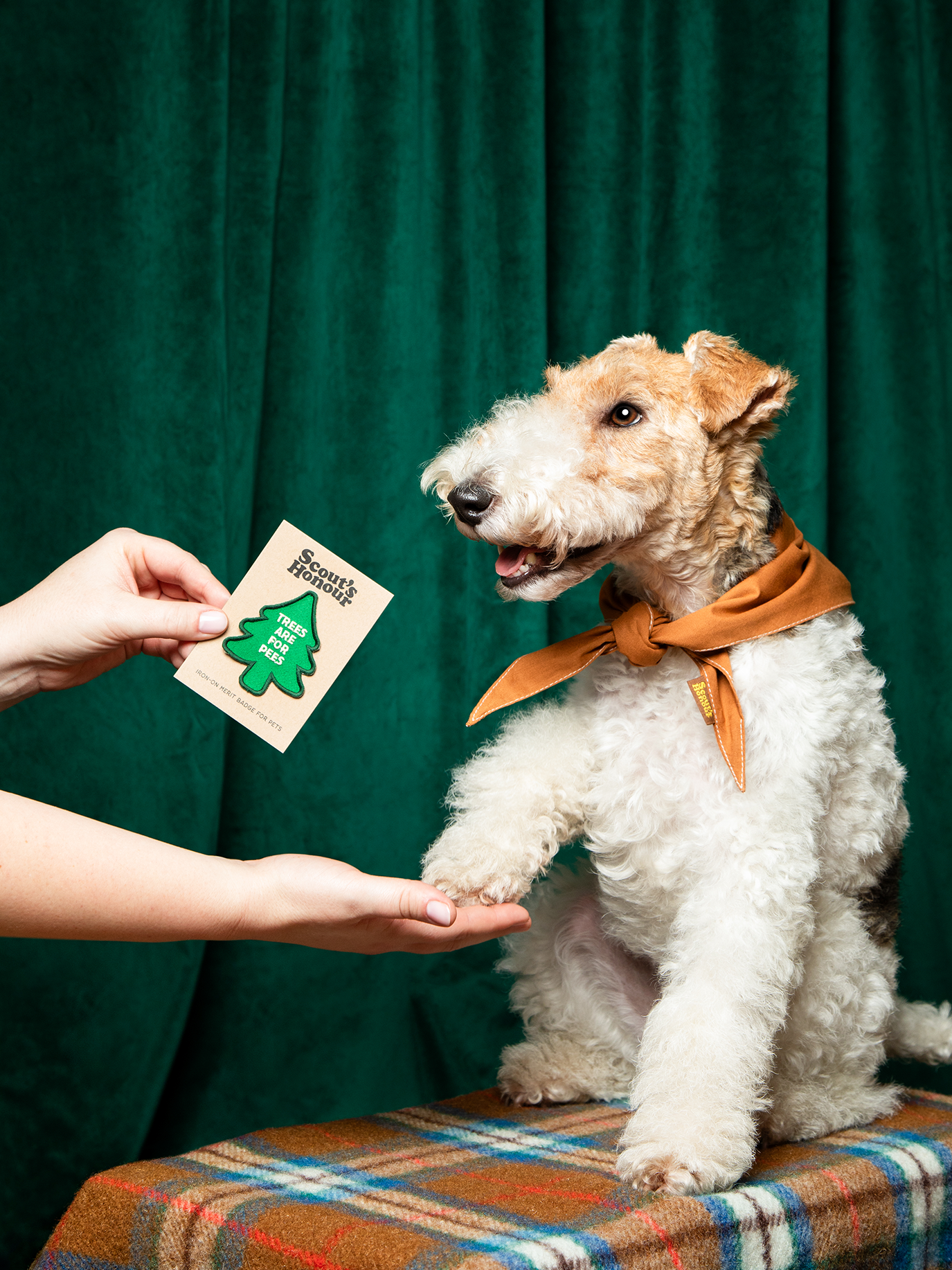 Trees are for Pees iron-on patch for dogs