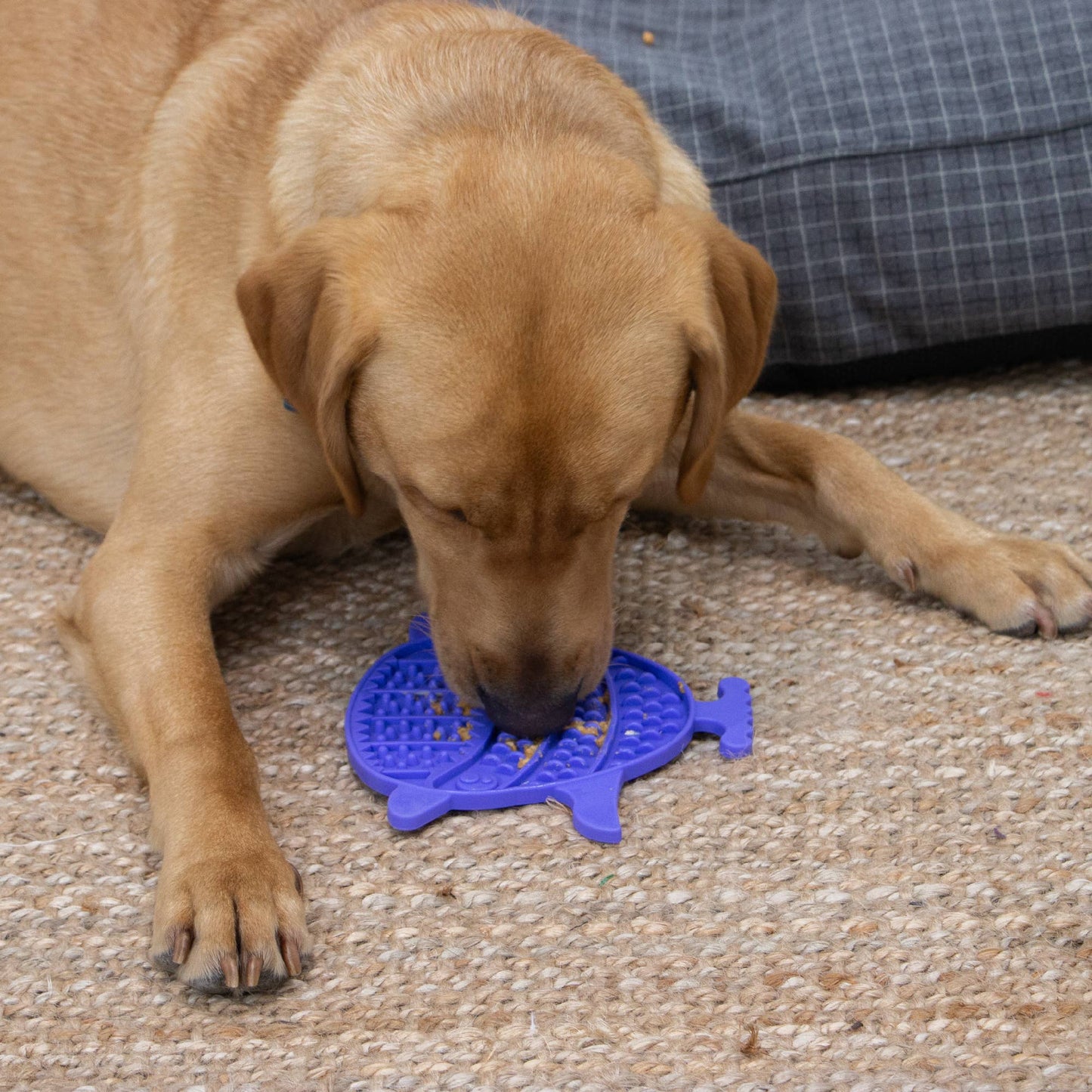 ÖRVA Puffer Fish Lick Mat