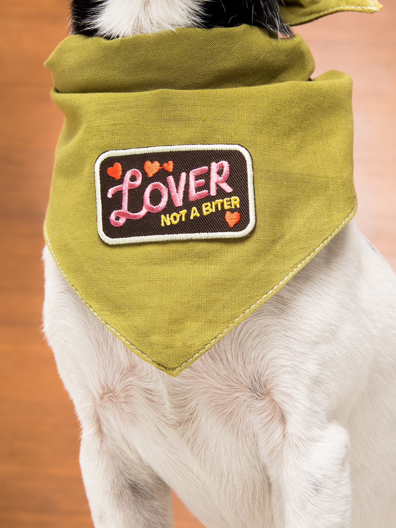 Lover not a Biter iron-on patch for dogs