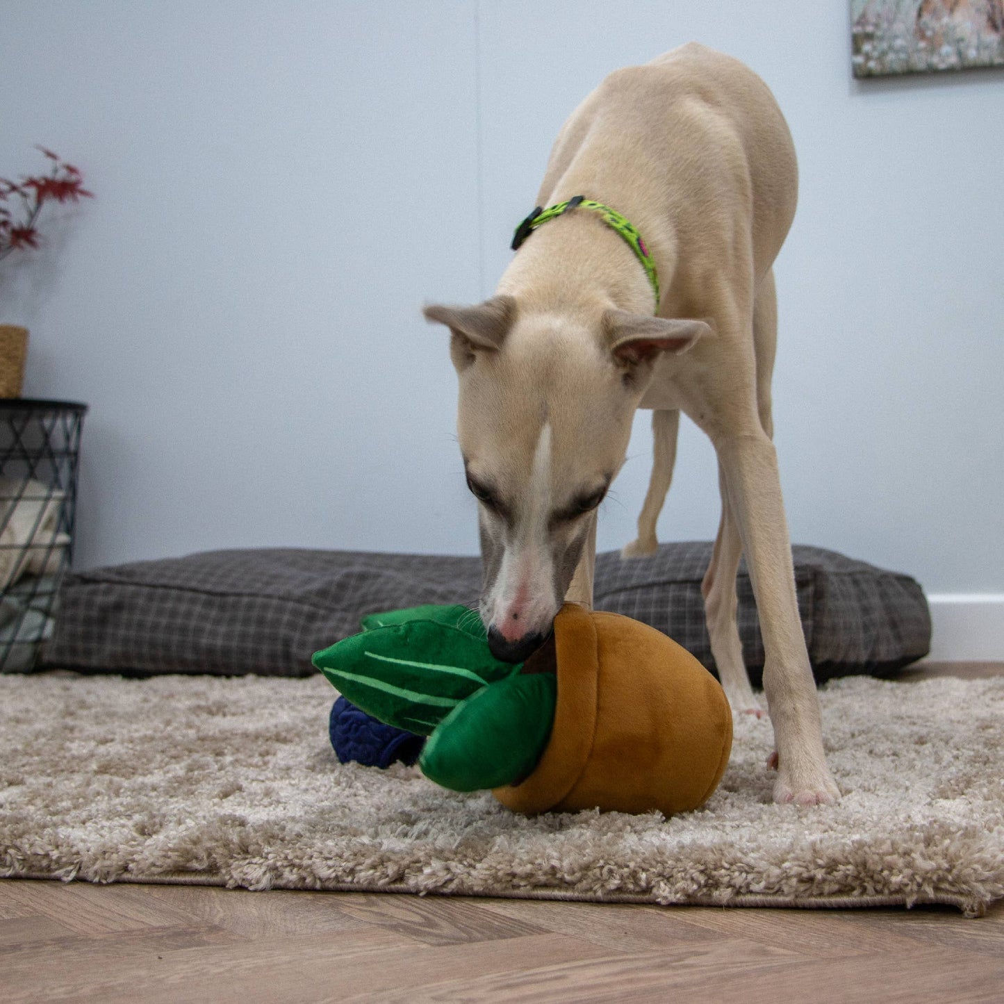 Cuddle Cactus Dog Toy