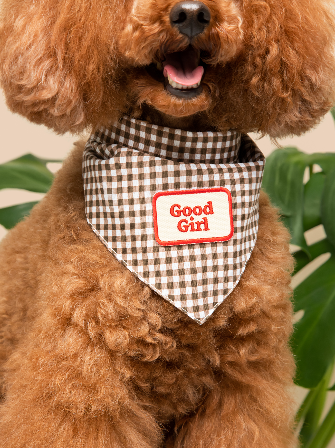 Iron-on patch for dog bandanas – embroidered design for custom pet accessories. Easy to apply and perfect for dog lovers